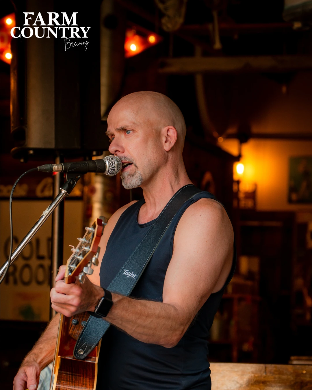 Chris Drieshner performing live music at Farm Country Brewing